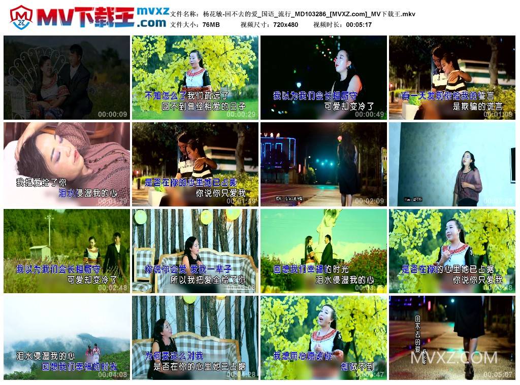 杨花敏-回不去的爱_国语_流行_MD103286